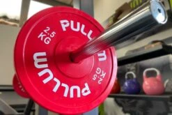 Pullum Branded 2.5kg Technique Disc Pair -Fitness Equipment Store 2 5kg Red3