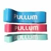 Pullum 74" Resistance Bands 1 Pullum 74" Resistance Bands -Fitness Equipment Store 74 Pullum Resistance Bands