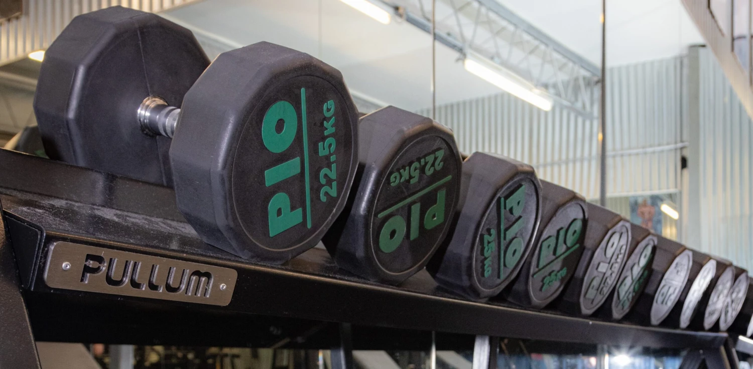 Pioneer Dodecadon Solid Rubber Dumbbell Set 4 Pioneer Dodecadon Solid Rubber Dumbbell Set - Image 2