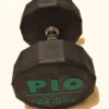 Pioneer Dodecadon Solid Rubber Dumbbell Set -Fitness Equipment Store PiododecDumbbell