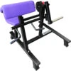 Pullum Pro-D Preacher Curl (Seated Bicep Curl)