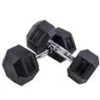 ELEIKO XF Hex DUMBBELL Pairs (Clearance)